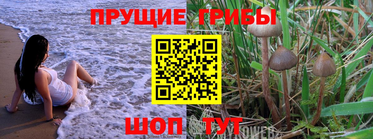 Псилоцибиновые грибы мицелий Ирбит